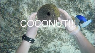 Treasure hunting in THAILAND - Finding stuff in ocean while cleaning corals! Treasure hunting in THAILAND - Finding stuff in ocean while cleaning corals!
