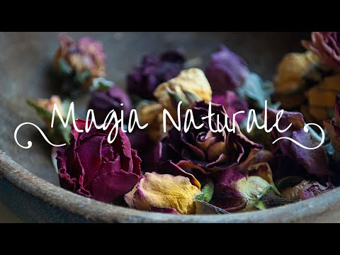 #4 Magia Naturale: Le Erbe, dalla raccolta alla magia