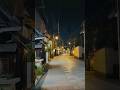 Kyoto old town Night #kyoto #japan #asia #night #city #trip #oldtown #shorts