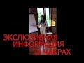 Чакры Человека и их Значение. Работа Чакр.