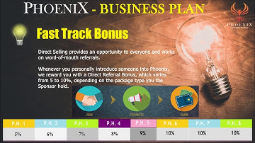 Global Compensation Plan by Phoenix International