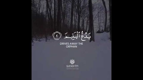 سورة الماعون | عبدالرحمن مسعد