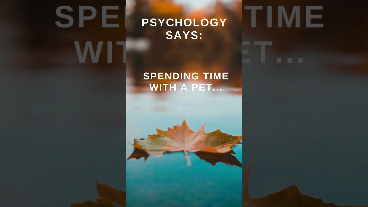 "Why Time Flies: The Psychology Behind Our Perception of Time ⏳"
