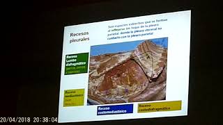 ANATO2 20180420 2 Tórax respiración pasiva