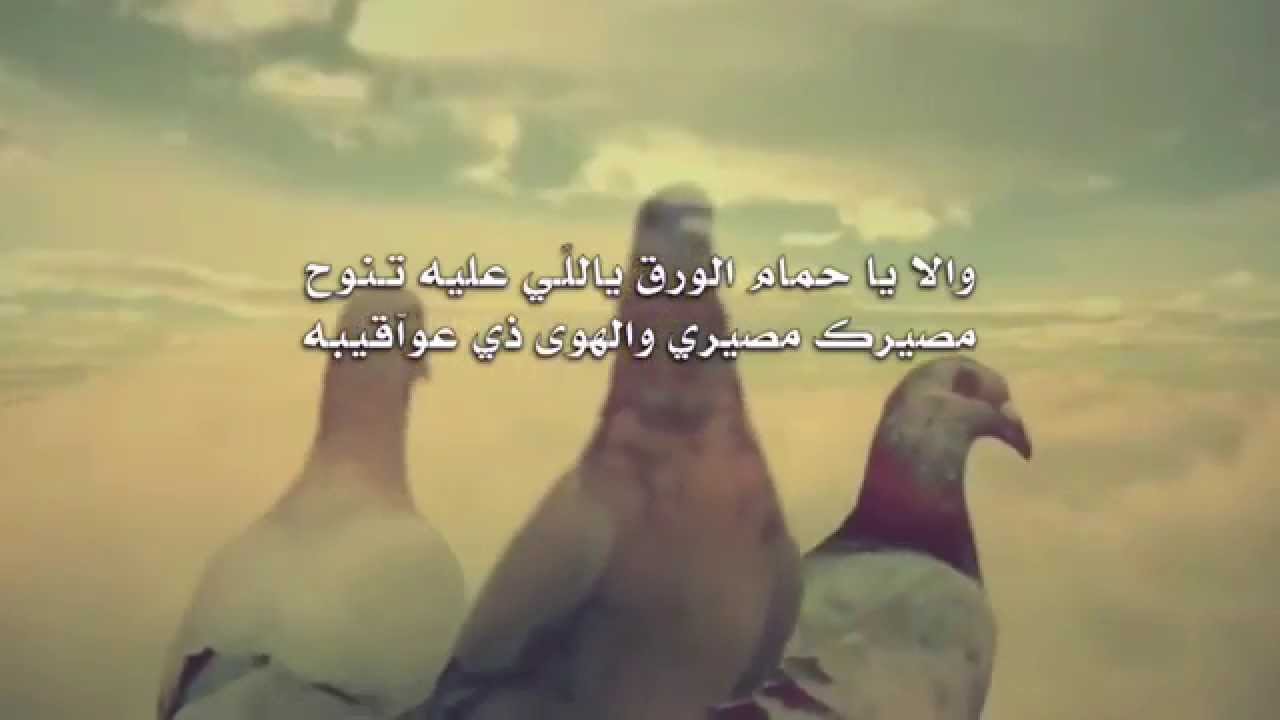 شيلة مطول الغيبه | كلمات فهد خالد السلمي | اداء فواز السلمي صوت سليم | سهم سليم HD