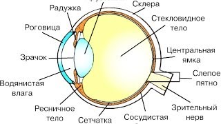 картинка: 24fps, 25fps, 30fps, ? , - Какую скорость кадров выбрать для съемки мультфильмов и видео