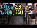 Bali Yoga, Canyoning, Monkey Forest, and the Orphanage!! /// WEEK 23 : Ubud, Bali, Indonesia