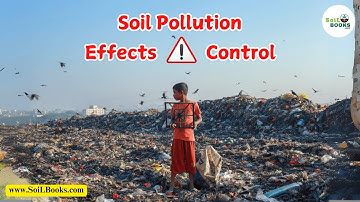 Soil Pollution Effects and Control – What You Need to Know! | Soil Pollution Effects | SoiL Books