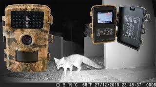 Best Trail Camera Review - Campark 14MP Game Camera