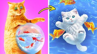 Aquarium For Tiny Kitten?  Save The Pregnant Kitten  *Gadgets and Crafts for Pets Camping *