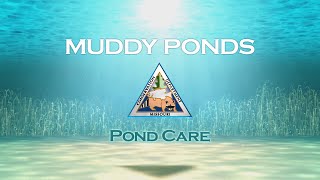 Pond Care 108: Muddy Ponds