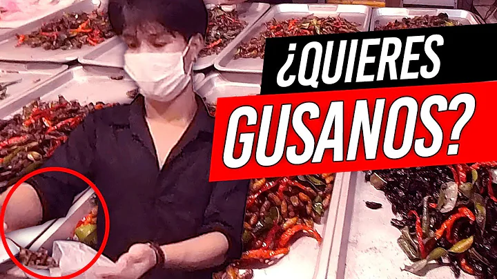 COMIENDO INSECTOS EN BANGKOK | Jodd Fairs