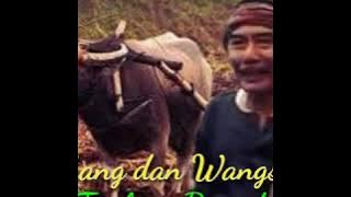TEMBANG & WANGSALAN TARLING PUTRA SANGKALA (BARIDIN)