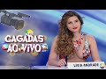 MAIORES MICOS DA TV AO VIVO 3▼ERROS, CAGADAS▲OS VIDEOS MAIS ENGRAÇADOS DA TV BRASILEIRA 2022