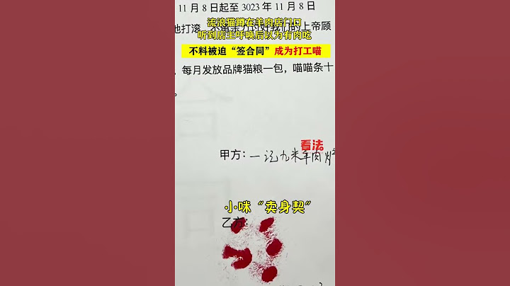 流浪猫蹲在羊肉店门口，听到店主呼唤后以为有肉吃，不料被迫“签合同”成为打工喵！