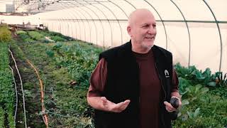 Creating Jobs for Returning Citizens in Poletown, Detroit: Recovery Park’s Solar-Powered Greenhouses