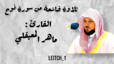 ماهر المعيقلي سورة نوح #ماهرالمعيقلي