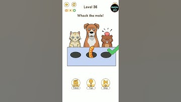 Brain Go Level 36 🎮🎮 Walkthrough solution || mahfuz FIFA