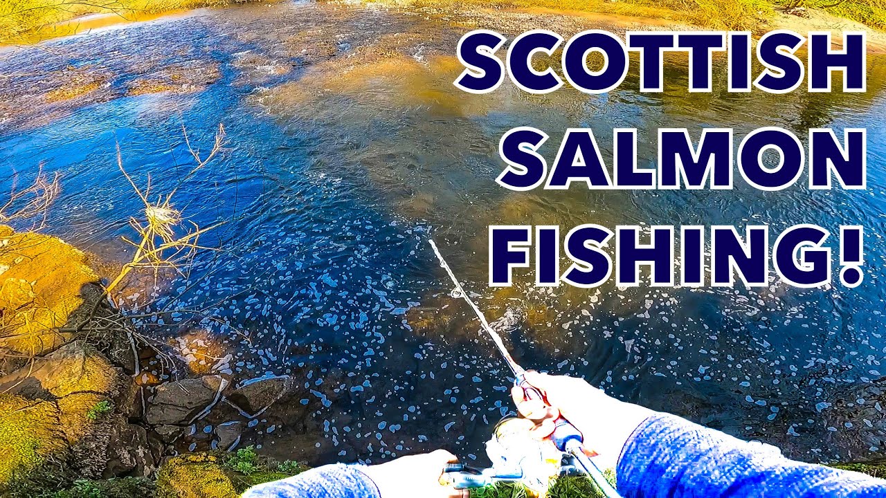 Back SCOTTISH SALMON FISHING On The River Annan! (4K) YouTube