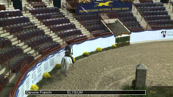 459 ELYSIUM Danielle Franchi, Class 134 Amateur Ow...