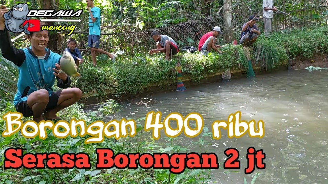 Mancing Borongan / Tebasan Empat Ratus Ribu (400) Serasa Borongan Dua ...