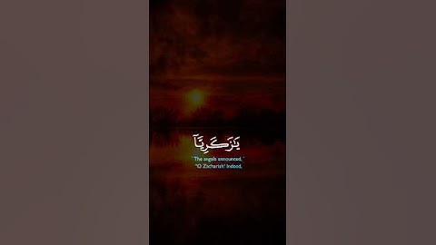 القران الكريم راحت البال والنفس والروح والقلب #اكسبلور #القرآن_الكريم #duet #دويتو #راحة_نفسية #يارب
