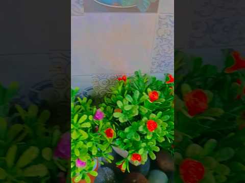 Viralvideo Allah Islamicstatus Islamicvideo Islam Quran Viralreels Viral Explore Foryou