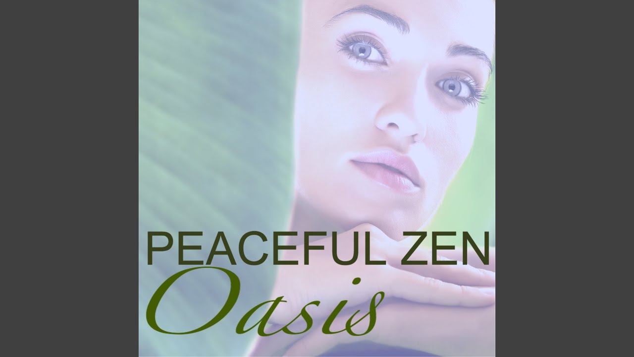 Reflections on Life - Deep Meditation Background Song auf YouTube ansehen