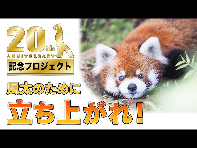 笑う動物たち 笑う動物たち z(◯◯)ny (@ekunzoo) / X