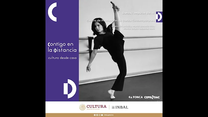 Suite No.2 en re menor, BWV 1008. Variacin 11: Tif...