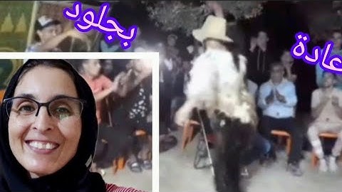 عادة بجلود من دواوير جماعة ابريكشة💃 زكتاوة بثنو الفرحة و الغويبة ننتظر دعمكم 🙏