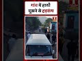 गांव में हाथी घुसने से हड़कंप