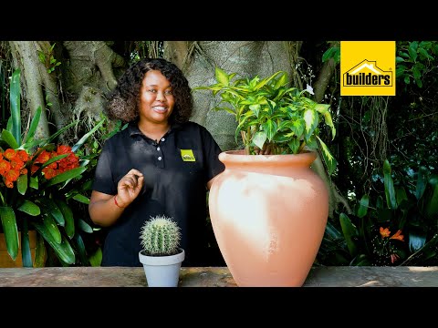 Upgrade Your Garden