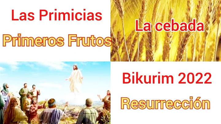 BIKURIM LAS PRIMICIAS 2022