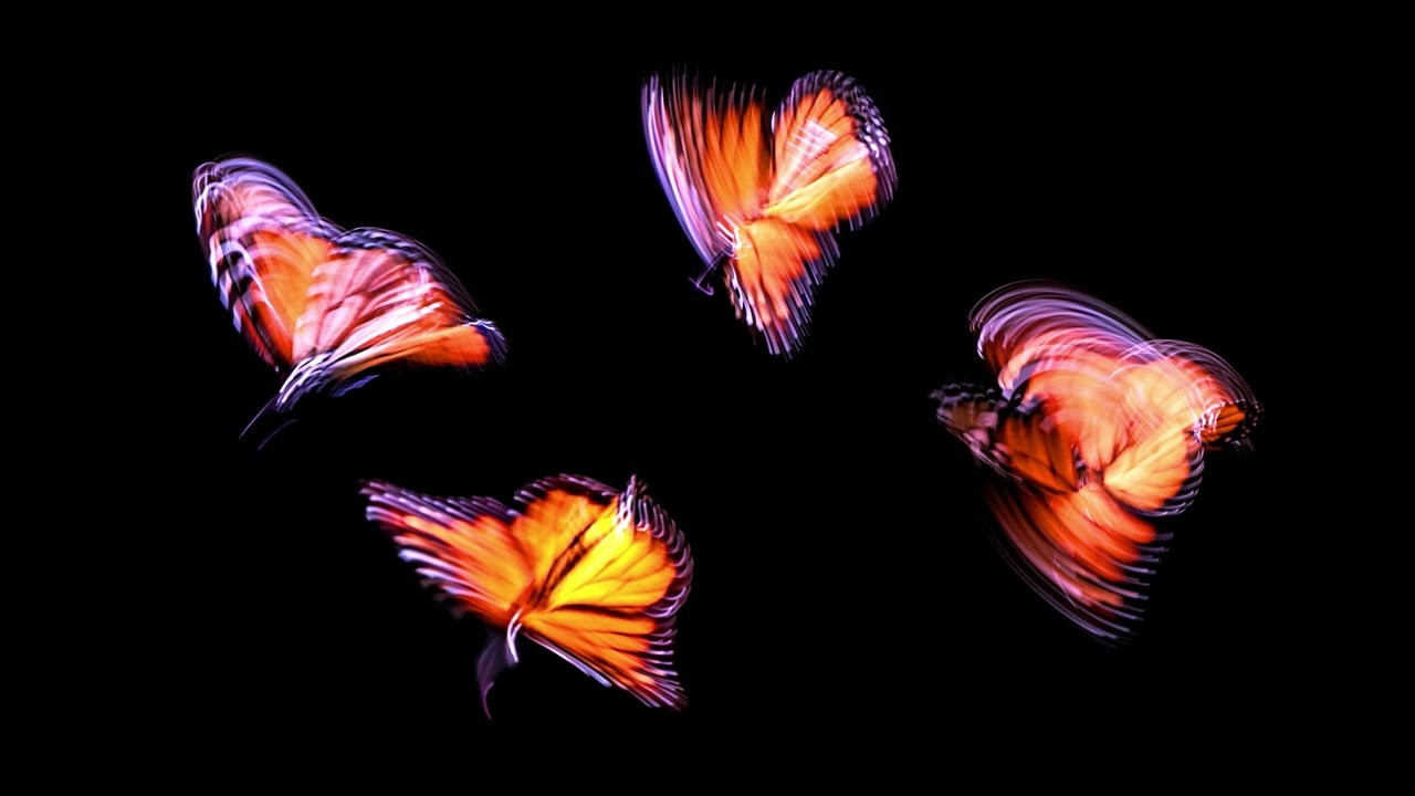 Malika KISHINO (岸野 末利加 ) – Schmetterlingstanz for String Quartett (2023) ⎥ 弦楽四重奏「胡蝶舞」