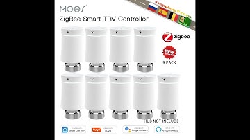 Review MOES ZigBee3.0 TRV Tuya Radiator Actuator Valve Smart Programmable Thermostat 2024