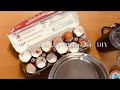 How To Make Eggshell Powder | Calcium | DIY