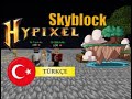 Hypixel Skyblock [2] Oyun Başı İçin Ucuz Ve Güzel Zırh | Türkçe