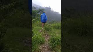 Camping In Rain In India camping shortvideo viral youtubeshorts nature raincamping shorts