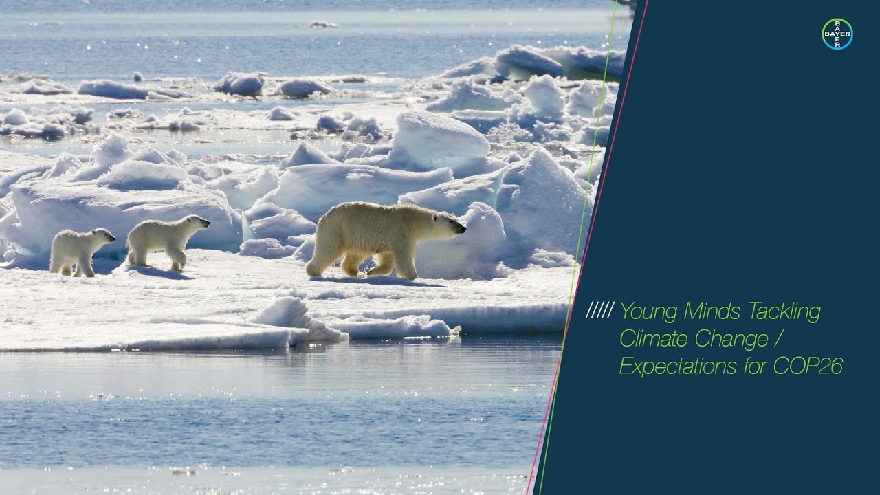 Young Minds Tackling Climate Change | Expectations for COP26 Live Talk ...