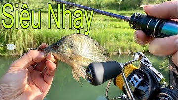 Instructies voor het vissen op tilapia met behulp van insectenlokmiddel, extreem gevoelig - Lure ...