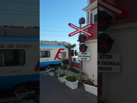 Passaggio treno Ferrovie del Gargano nei pressi Hotel Tramonto Rodi Garganico