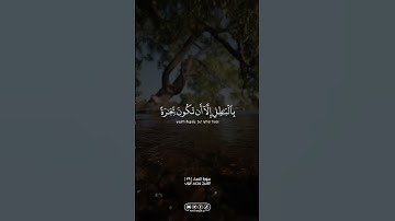 سورة النساء | #الله #allah #القران_الكريم #القرآن_الكريم #foryou #اكسبلور #explore #fyp #محمد_أيوب