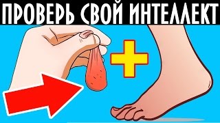 8 ГОЛОВОЛОМОК, КОТОРЫЕ ВЗОРВУТ ВАШ МОЗГ!