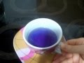 Дегустируем синий чай из Тайланда