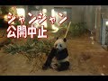 シャンシャン・初の公開中止 2018.12.18 ABC Panda Movies