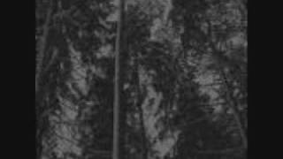 Vaakevandring - UNBLACK/FOLK METAL - Some Day