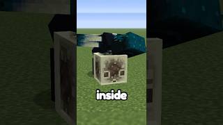 Minecraft’s NEW Warden CHEAT CODE is TOO GOOD