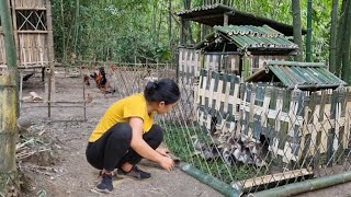 Process of making bamboo houses for ducks, creating grass mats and feeding ducks