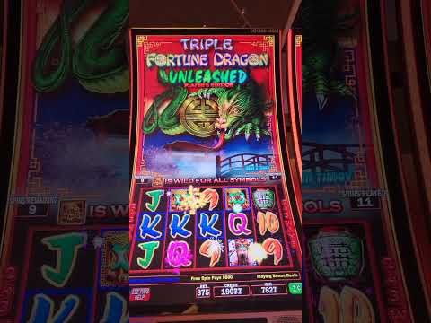 Experience the Thrill: Claim Your Exclusive WinBay Casino Welcome Bonus & Play Top Online Casino Games in English